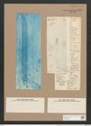 Pleurosigma balticum (Ehr.) W.Sm. (de-Toni-Nr.: Genus 13, Species 1063) Zeichnungen Sammlung Grunow Nr. 1919 (NHMW-BOT-W0369045)